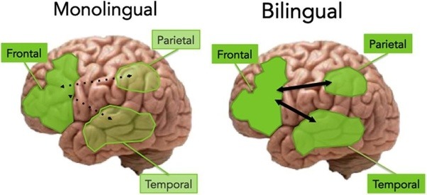 How can languages help you